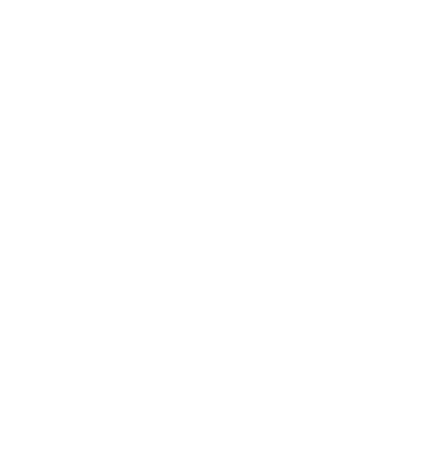 Soulinside Sygnet Biały .5x